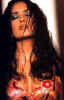 PCHayec14.jpg (43465 octets)